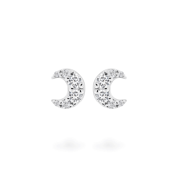 Hoa tai kim cương viên vàng 14K Paixy TD