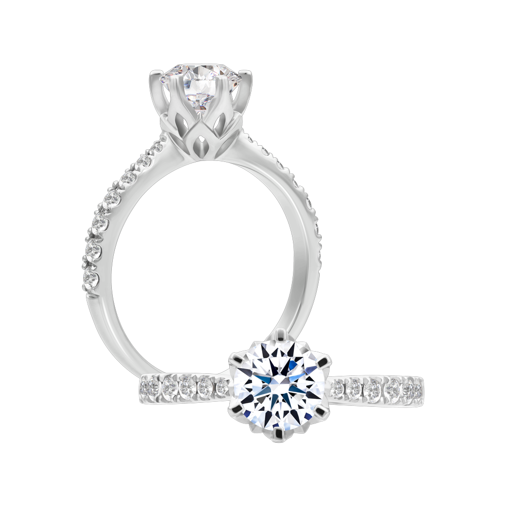 Nhẫn nữ kim cương tấm vàng 14K Allurial D 1CT