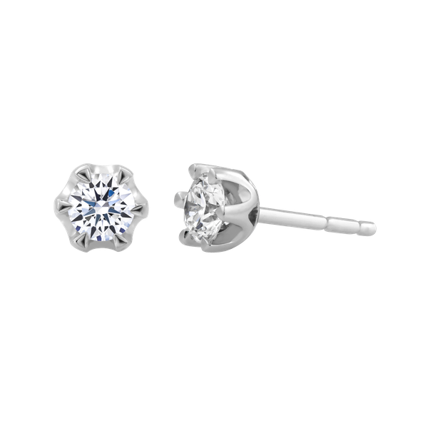 Ổ Bông vàng 14K Docile 5C