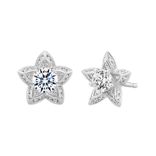 Hoa tai kim cương tấm vàng 14K Shining Star 2C