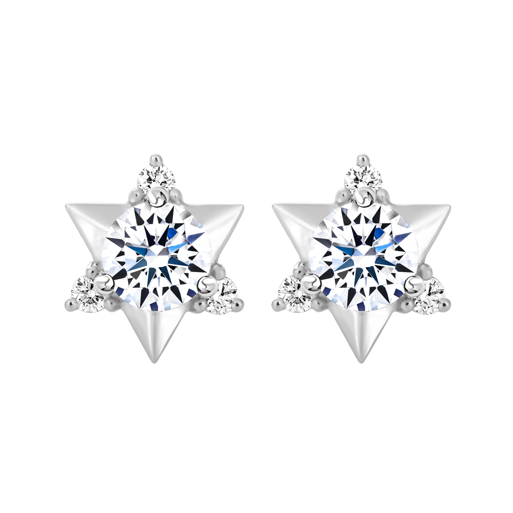 Hoa tai kim cương tấm vàng 14K Zanta 5C