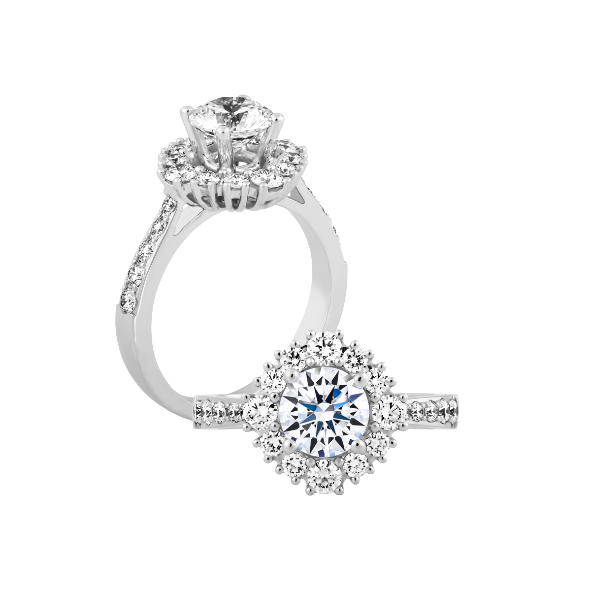 Ổ nhẫn nữ kim cương tấm vàng 14K Dapper 5C