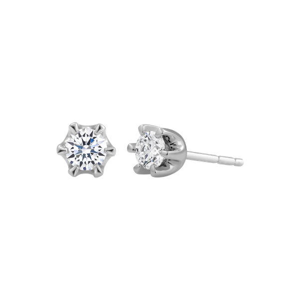 Ổ Bông đính đá CZ vàng 14K Monako 3C