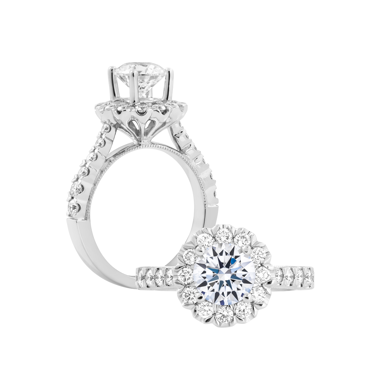 Ổ nhẫn nữ kim cương tấm vàng 14K Naava 5C