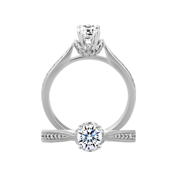 Nhẫn nữ kim cương tấm vàng 14K Selection N 2C