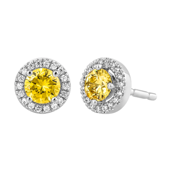 Hoa tai đính đá màu Citrine vàng 10K Waddle N5C S.CIT