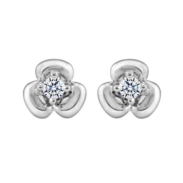 Hoa tai kim cương vàng 14K Geranium N1 5p