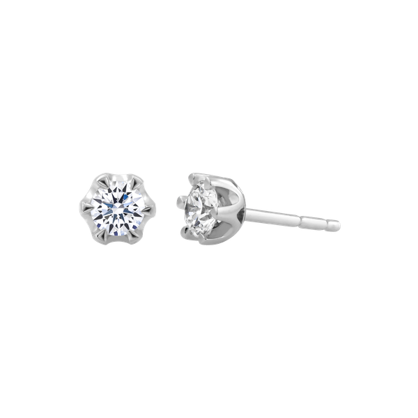 Ổ Bông đính đá CZ vàng 14K Docile 3C