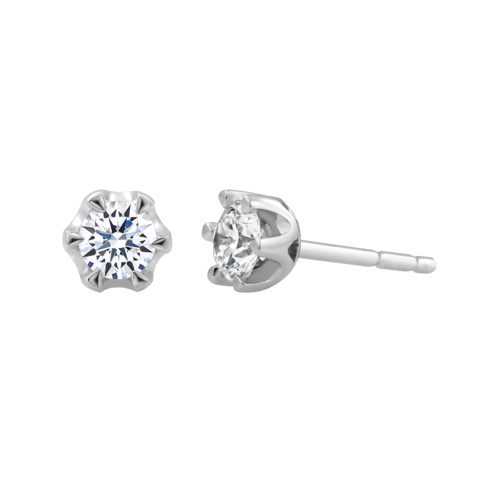 Ổ Bông vàng 14K Docile 5C