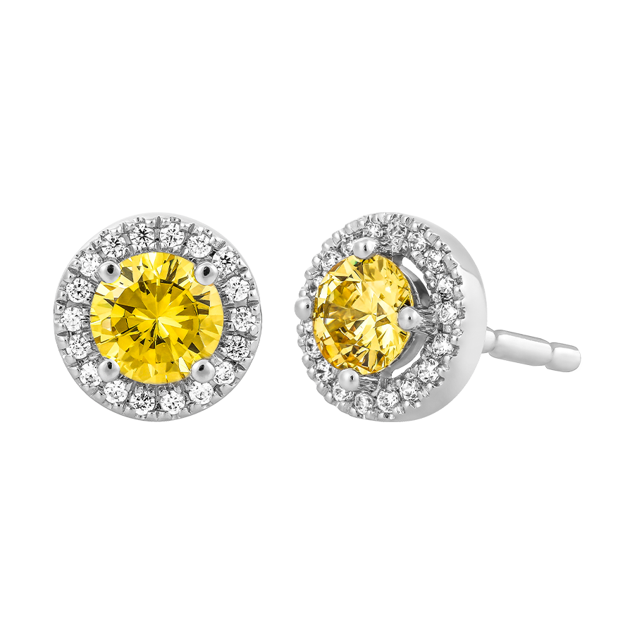 Hoa tai đính đá màu Citrine vàng 10K Waddle N5C S.CIT