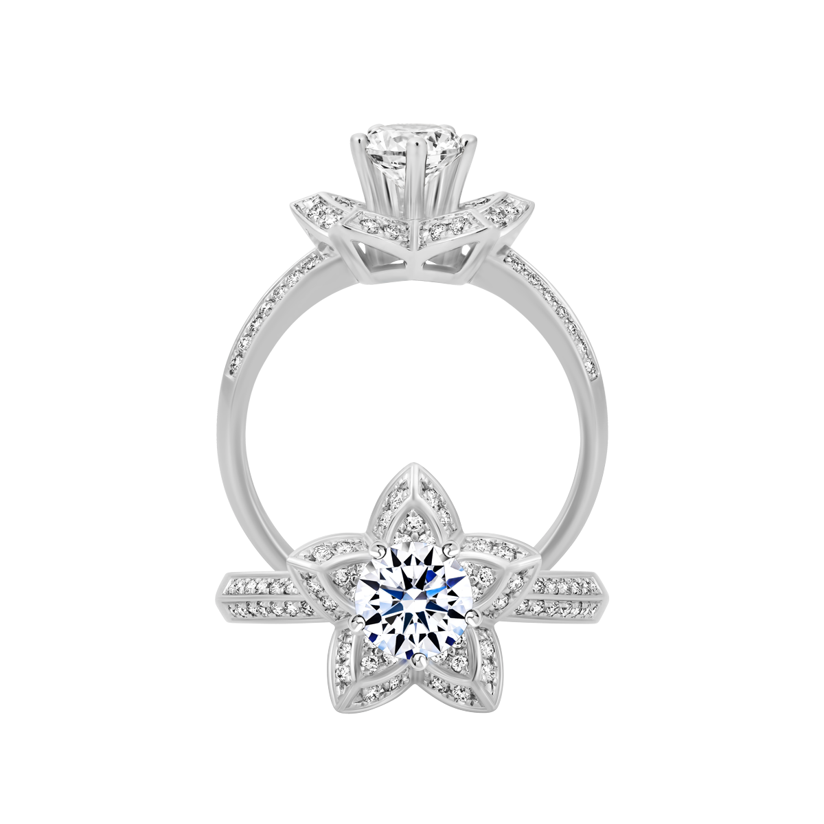 Nhẫn nữ kim cương tấm vàng 14K Shining Star 5C