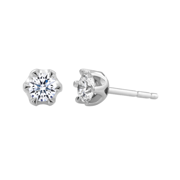 Ổ Bông vàng 14K Docile 5C