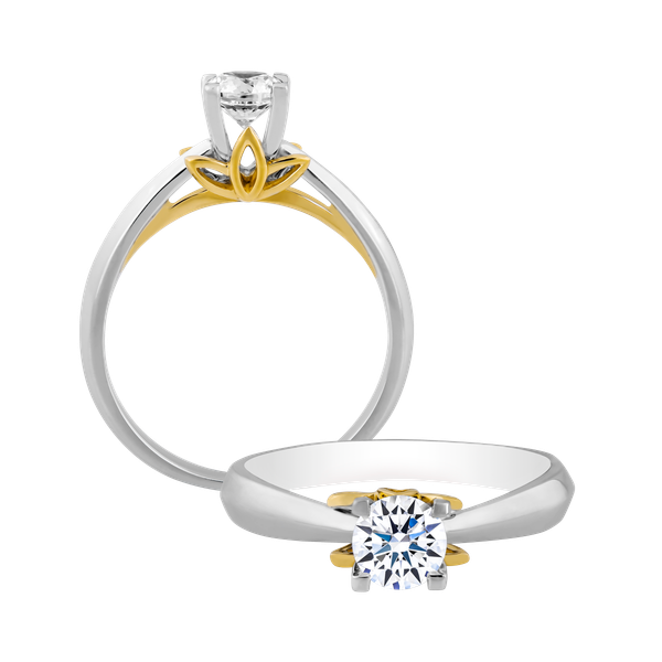 Nhẫn nữ kim cương vàng 14K Dedicated N 10p