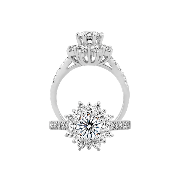 Ổ nhẫn nữ kim cương tấm vàng 14K Amalia N 5C