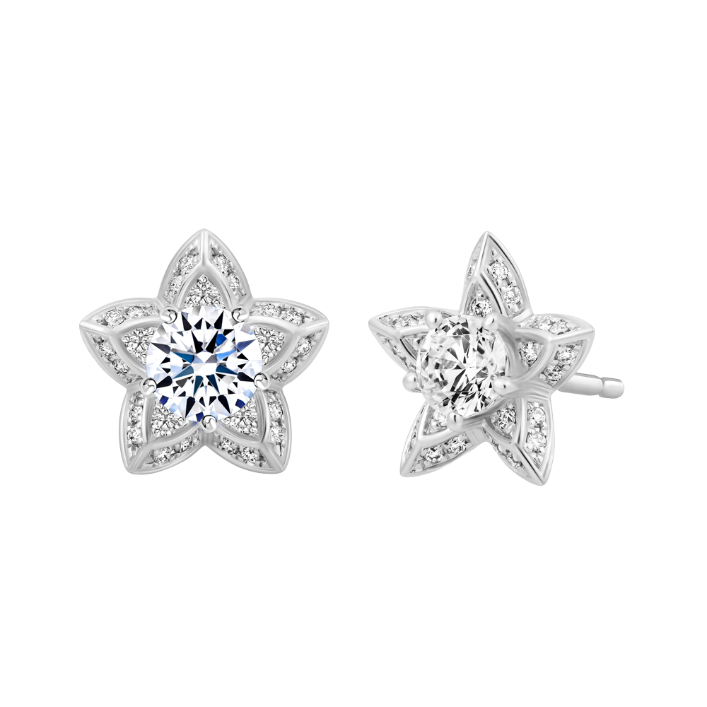 Hoa tai kim cương tấm vàng 14K Shining Star 2C