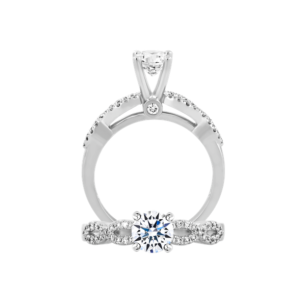 Ổ nhẫn nữ kim cương tấm vàng 14K Elated 3C