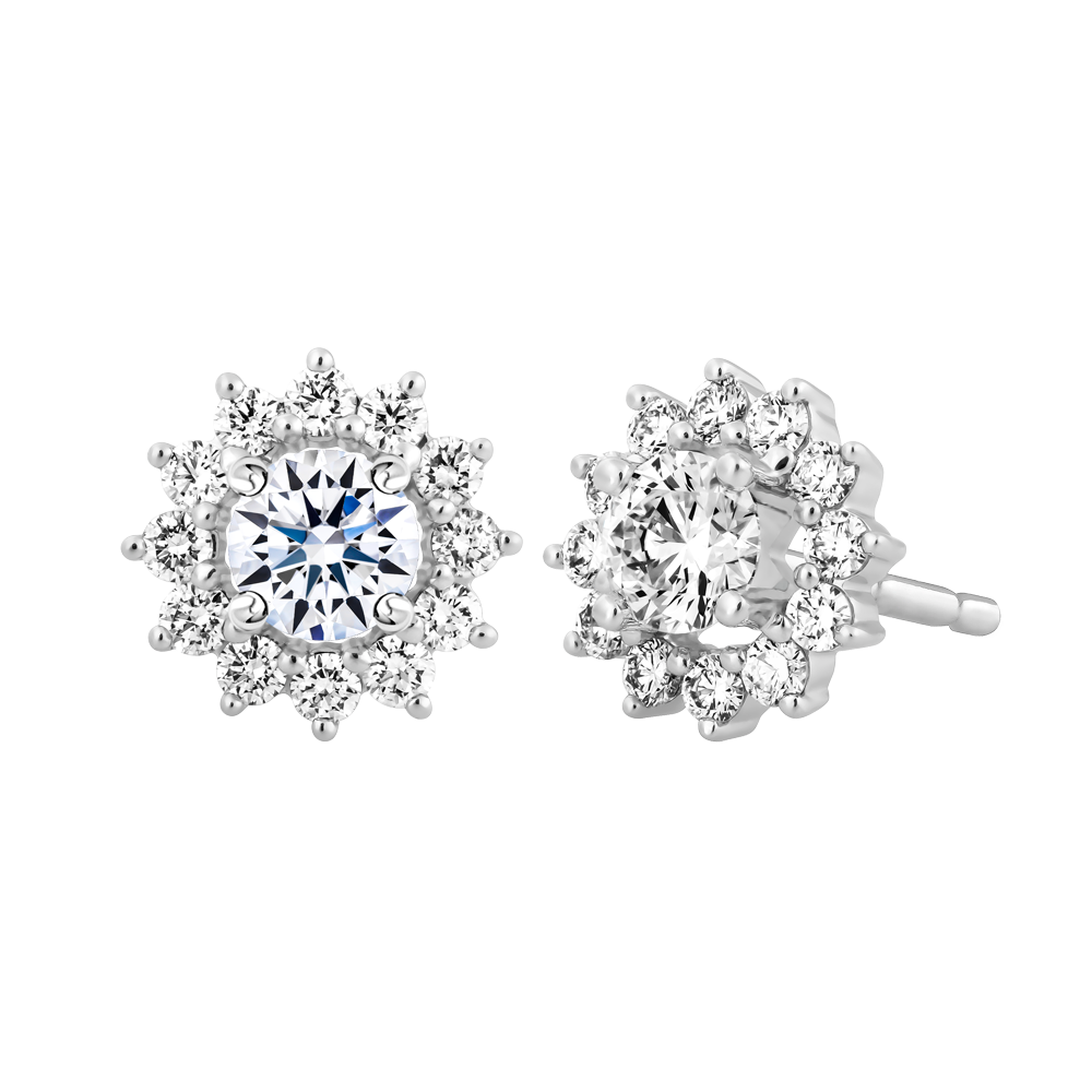 Hoa tai đính đá CZ vàng 14K Arvid 3C