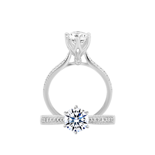 Nhẫn nữ kim cương tấm vàng 14K Harmoring 1CT