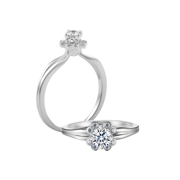 Nhẫn nữ kim cương tấm vàng 14K Politic 2C