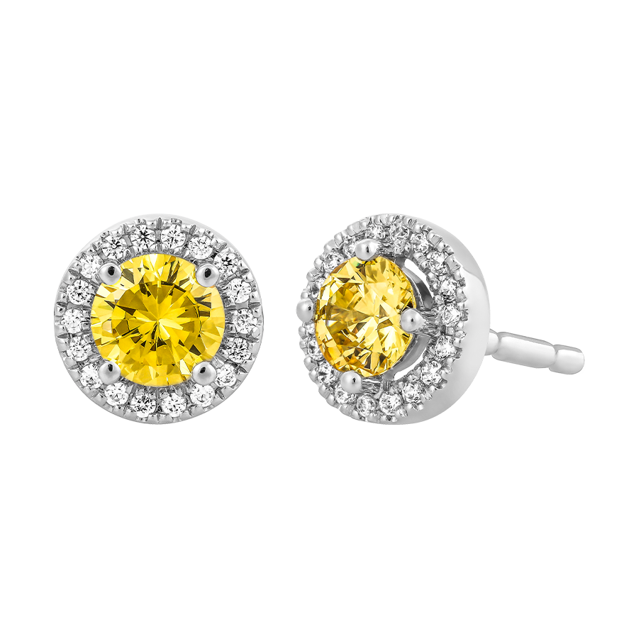 Hoa tai đính đá màu Citrine vàng 10K Waddle N5C S.CIT