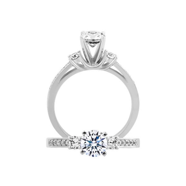 Ổ nhẫn nữ kim cương tấm vàng 14K Zetful 5C