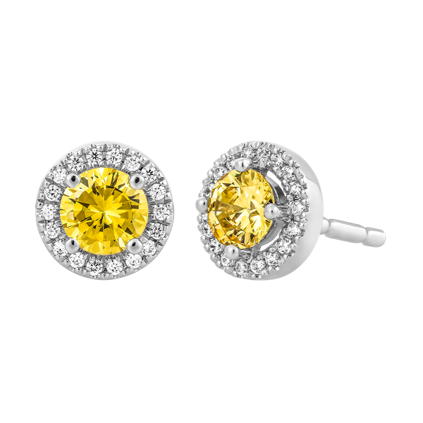 Hoa tai đính đá màu Citrine vàng 10K Waddle N5C S.CIT