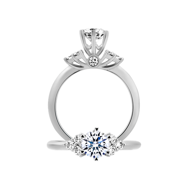 Nhẫn nữ kim cương tấm vàng 14K Catherine 5C