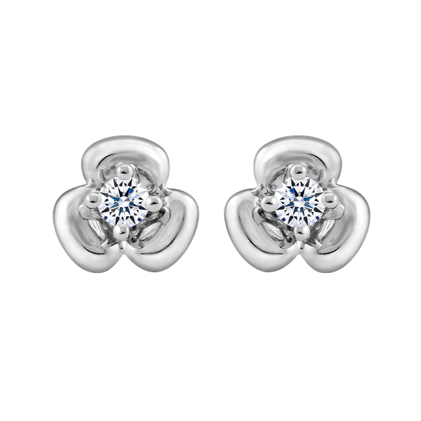 Hoa tai kim cương vàng 14K Geranium N1 5p