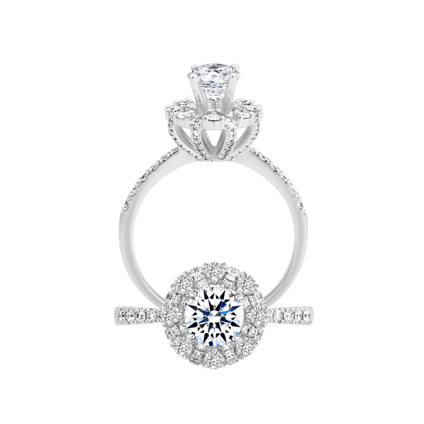 Ổ nhẫn nữ kim cương tấm vàng 14K Chubby N 5C