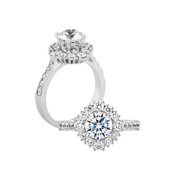 Ổ nhẫn nữ kim cương tấm vàng 14K Dapper N 3CT