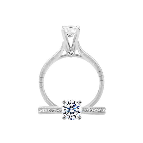 Nhẫn nữ kim cương tấm vàng 14K Dignition 5C