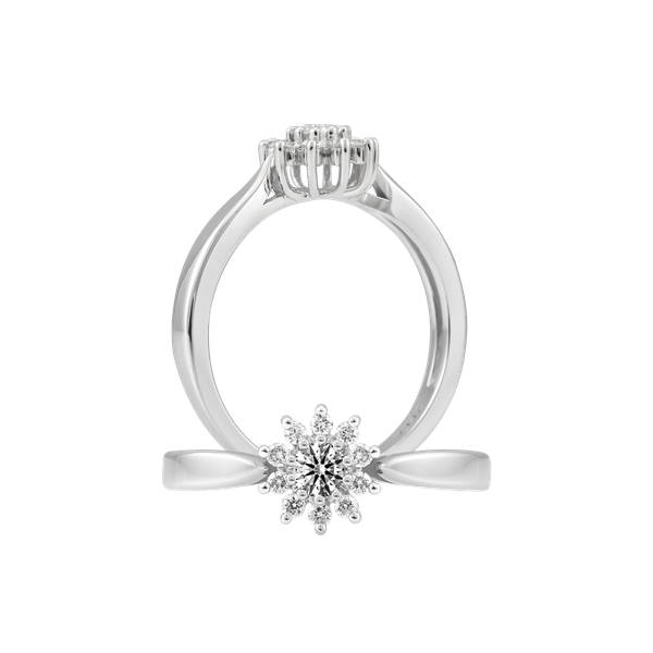 Nhẫn nữ kim cương tấm vàng 14K Amuse N 2C