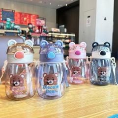BÌNH NHỰA IN HÌNH TRANG TRÍ 2032-550ML