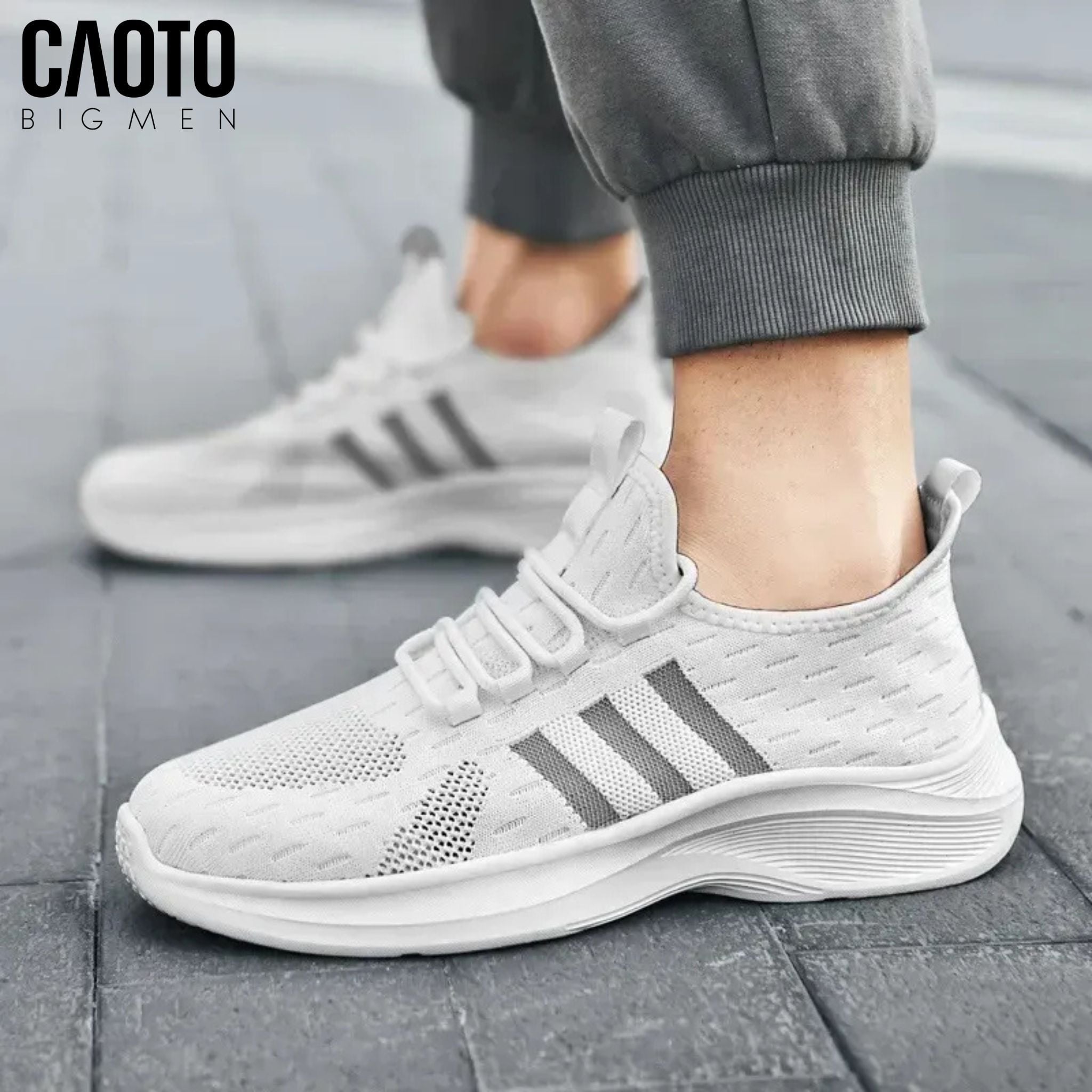  Giày Sneaker Nam Big Size Zenith White Vải Dệt Thoáng Khí Size 45-50 