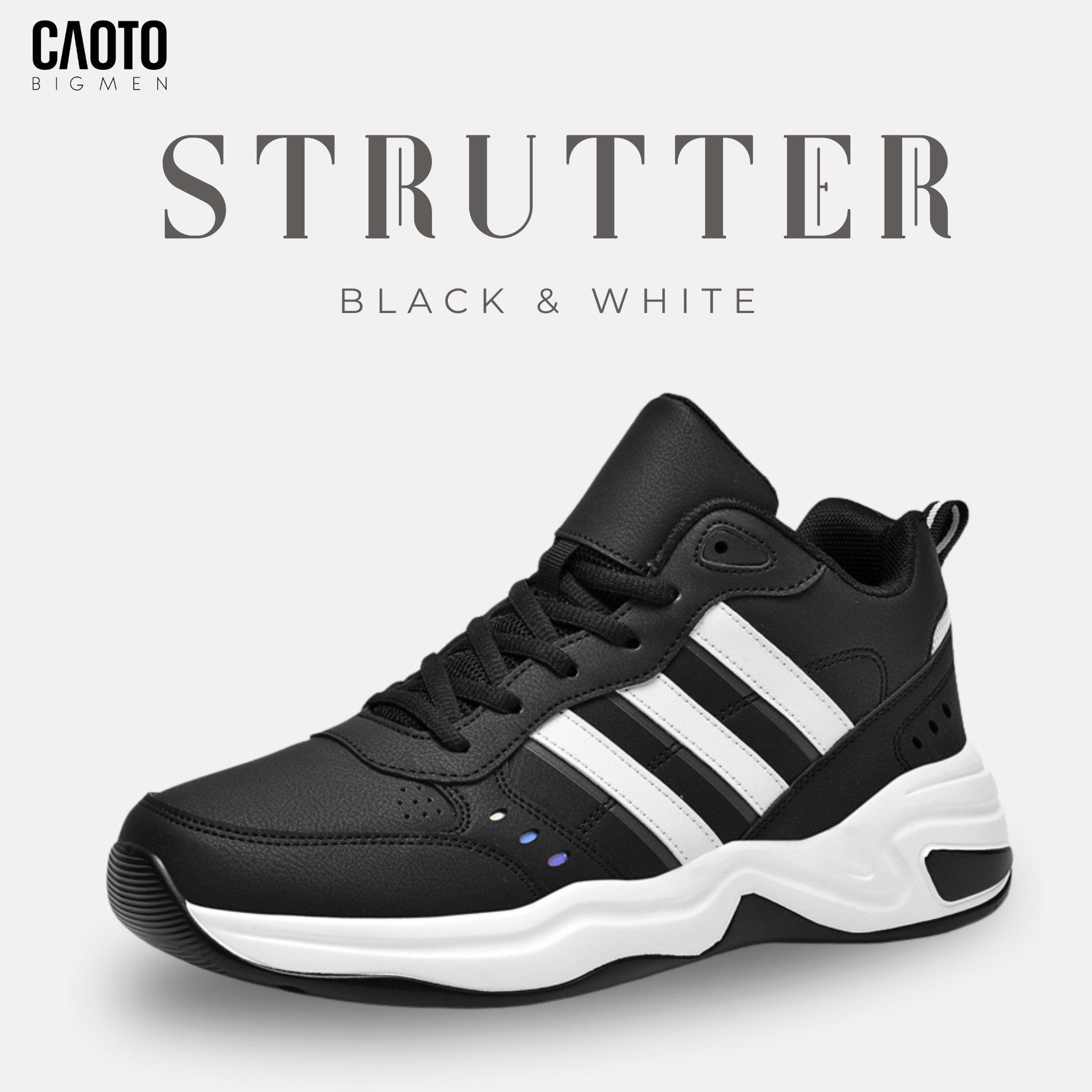  Giày Sneaker Strutter Black & White Big Size 