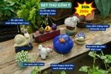  Combo Thú Gốm Trang Trí, Quà Tặng Bạn Bè - combo với giá ưu đãi 