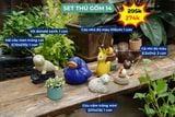  Combo Thú Gốm Trang Trí, Quà Tặng Bạn Bè - combo với giá ưu đãi 