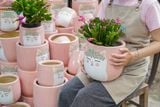  Chậu Mèo Hồng Mặt Quạo, Chậu Gốm Trồng Cây Dễ Thương, 2 size tuỳ chọn. 