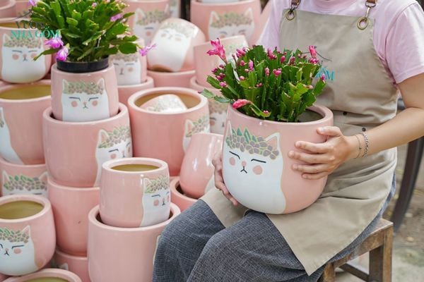  Chậu Mèo Hồng Mặt Quạo, Chậu Gốm Trồng Cây Dễ Thương, 2 size tuỳ chọn. 