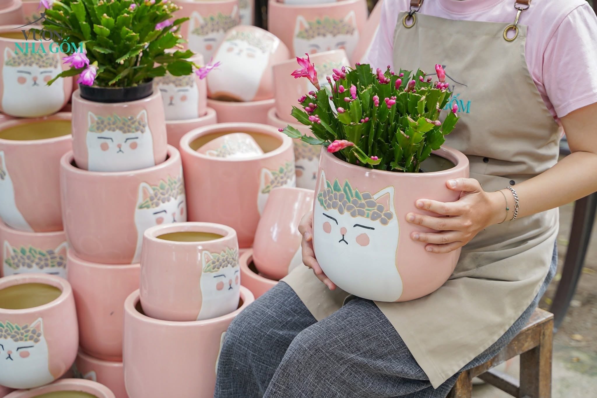  Chậu Mèo Hồng Mặt Quạo, Chậu Gốm Trồng Cây Dễ Thương, 2 size tuỳ chọn. 