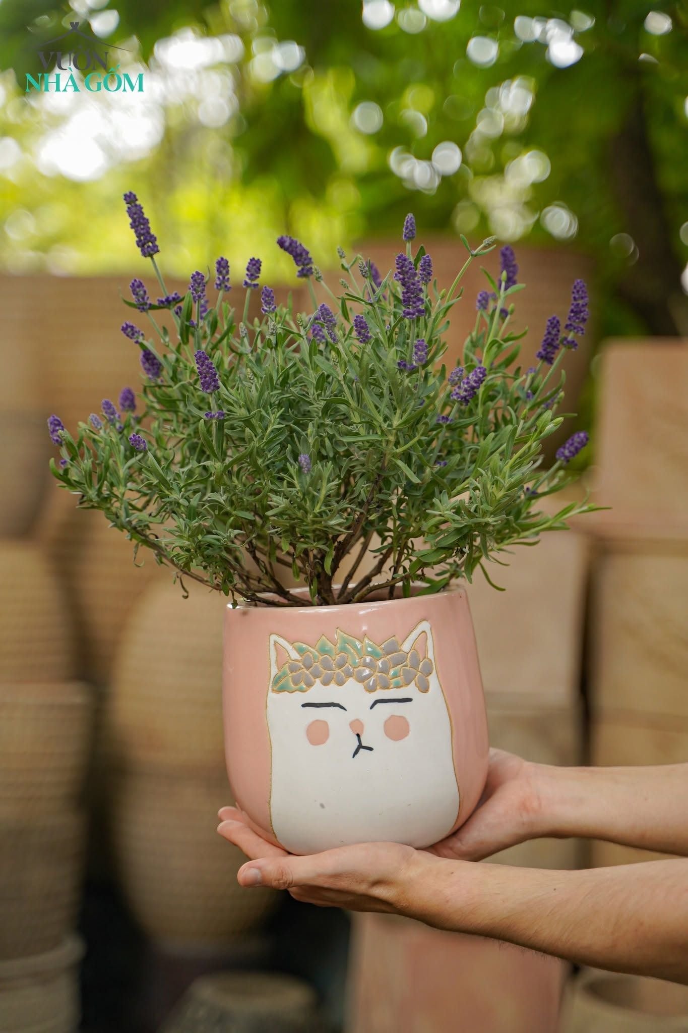  Chậu Mèo Hồng Mặt Quạo, Chậu Gốm Trồng Cây Dễ Thương, 2 size tuỳ chọn. 