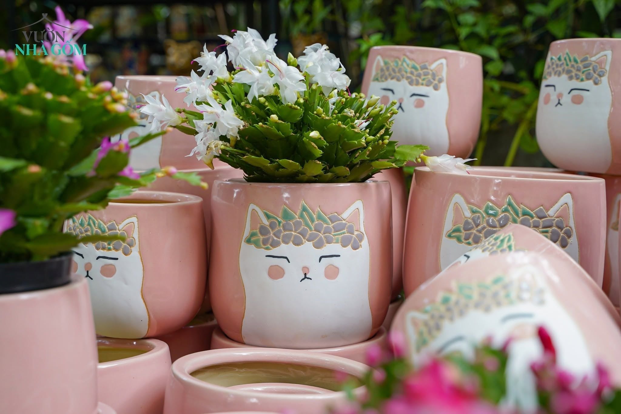  Chậu Mèo Hồng Mặt Quạo, Chậu Gốm Trồng Cây Dễ Thương, 2 size tuỳ chọn. 