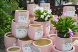  Chậu Mèo Hồng Mặt Quạo, Chậu Gốm Trồng Cây Dễ Thương, 2 size tuỳ chọn. 