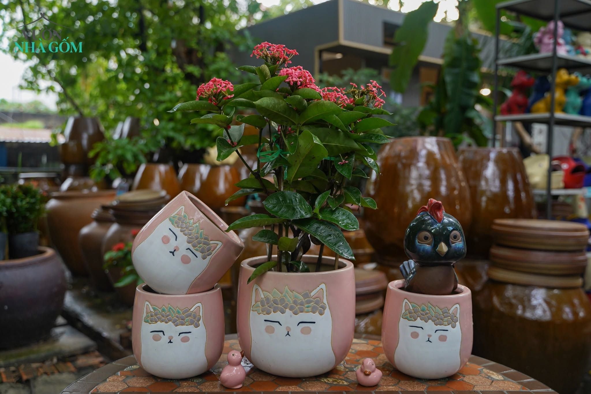  Chậu Mèo Hồng Mặt Quạo, Chậu Gốm Trồng Cây Dễ Thương, 2 size tuỳ chọn. 
