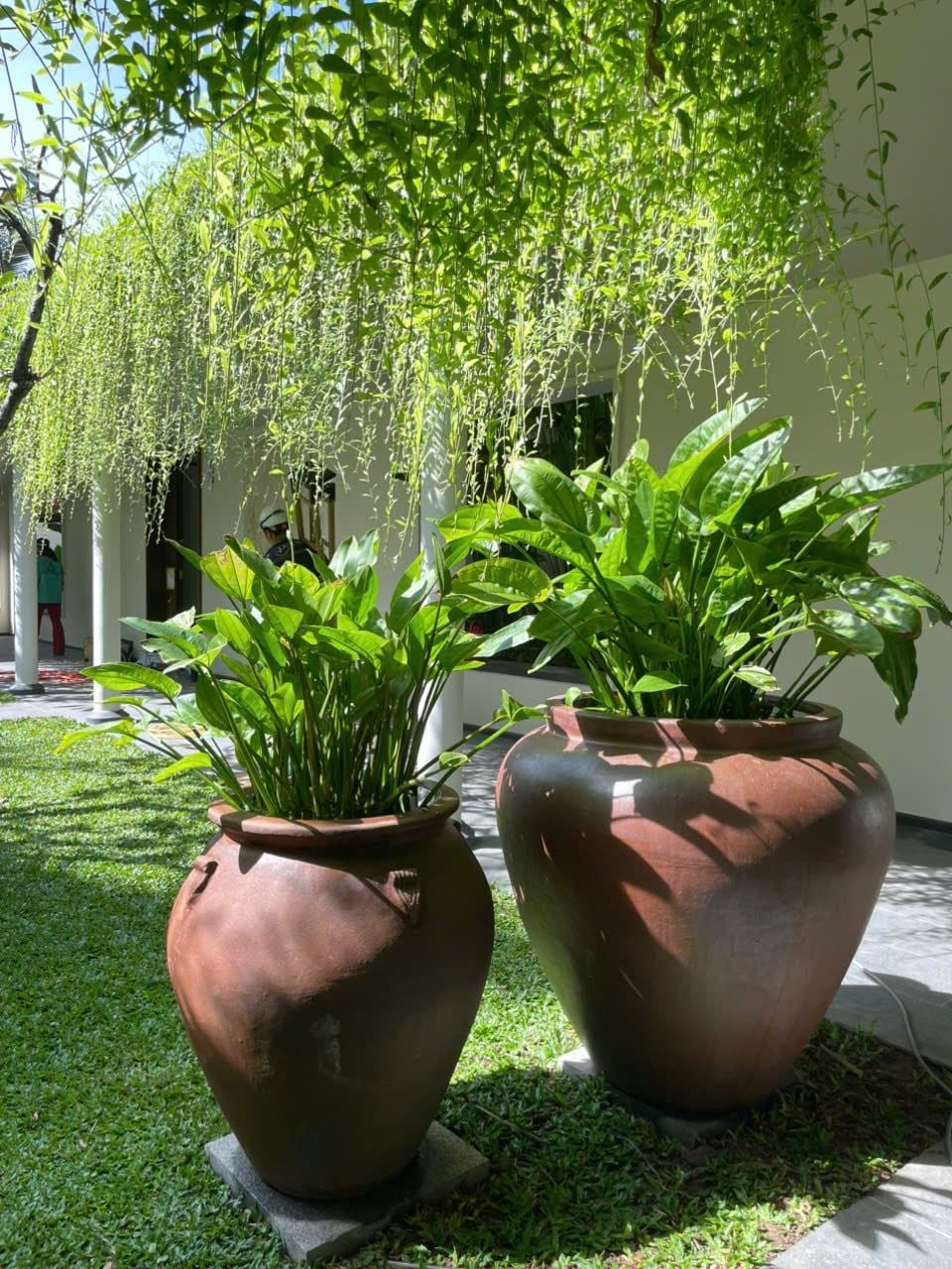  VNG × Park Hyatt Phú Quốc | Dự án Lu Gốm đất đen 