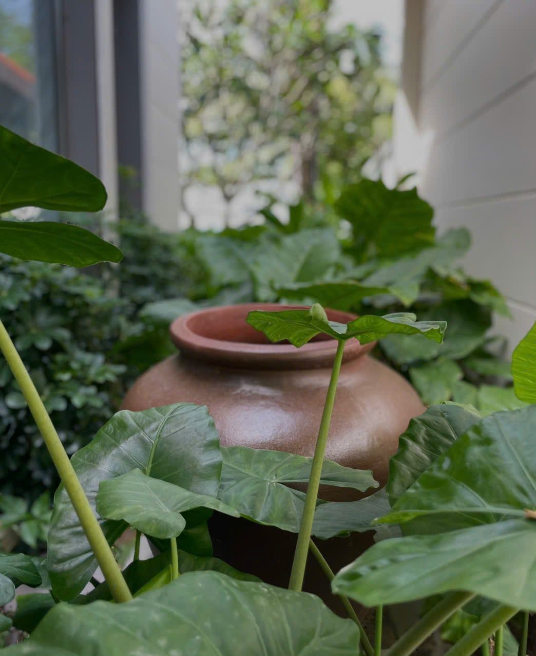  VNG × Park Hyatt Phú Quốc | Dự án Lu Gốm đất đen 