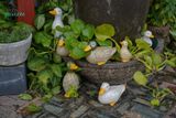  Vịt Gốm Đầu Xanh trang trí để bàn, quà tặng bạn bè, decor không gian sống, trang trí sân vườn 