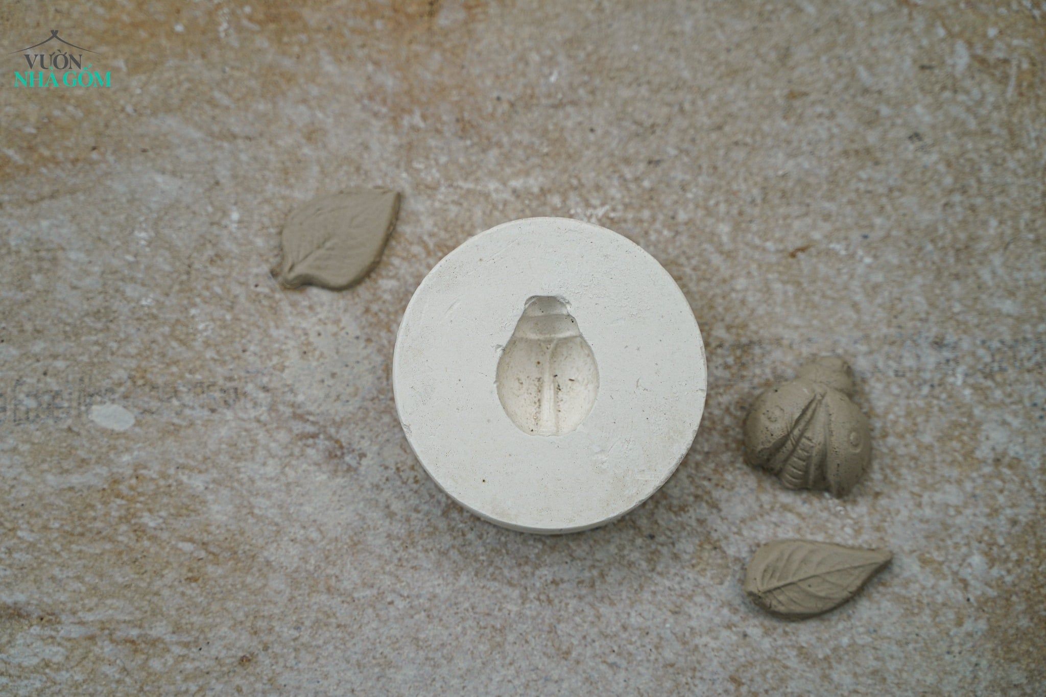  Khuôn bọ 2 cánh (Cái) 