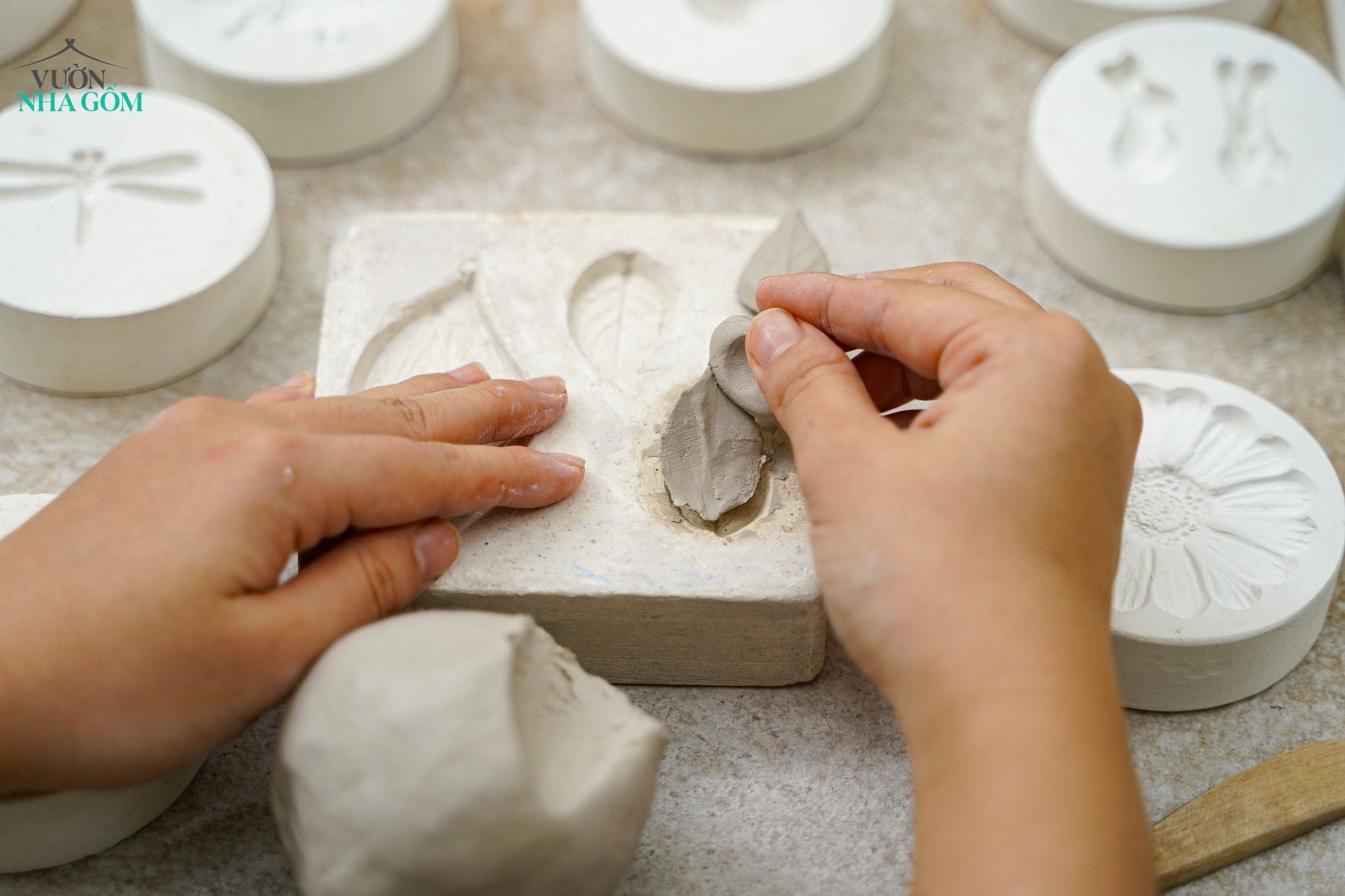  Khuôn in lá tròn nhọn 12cm (Cái) 