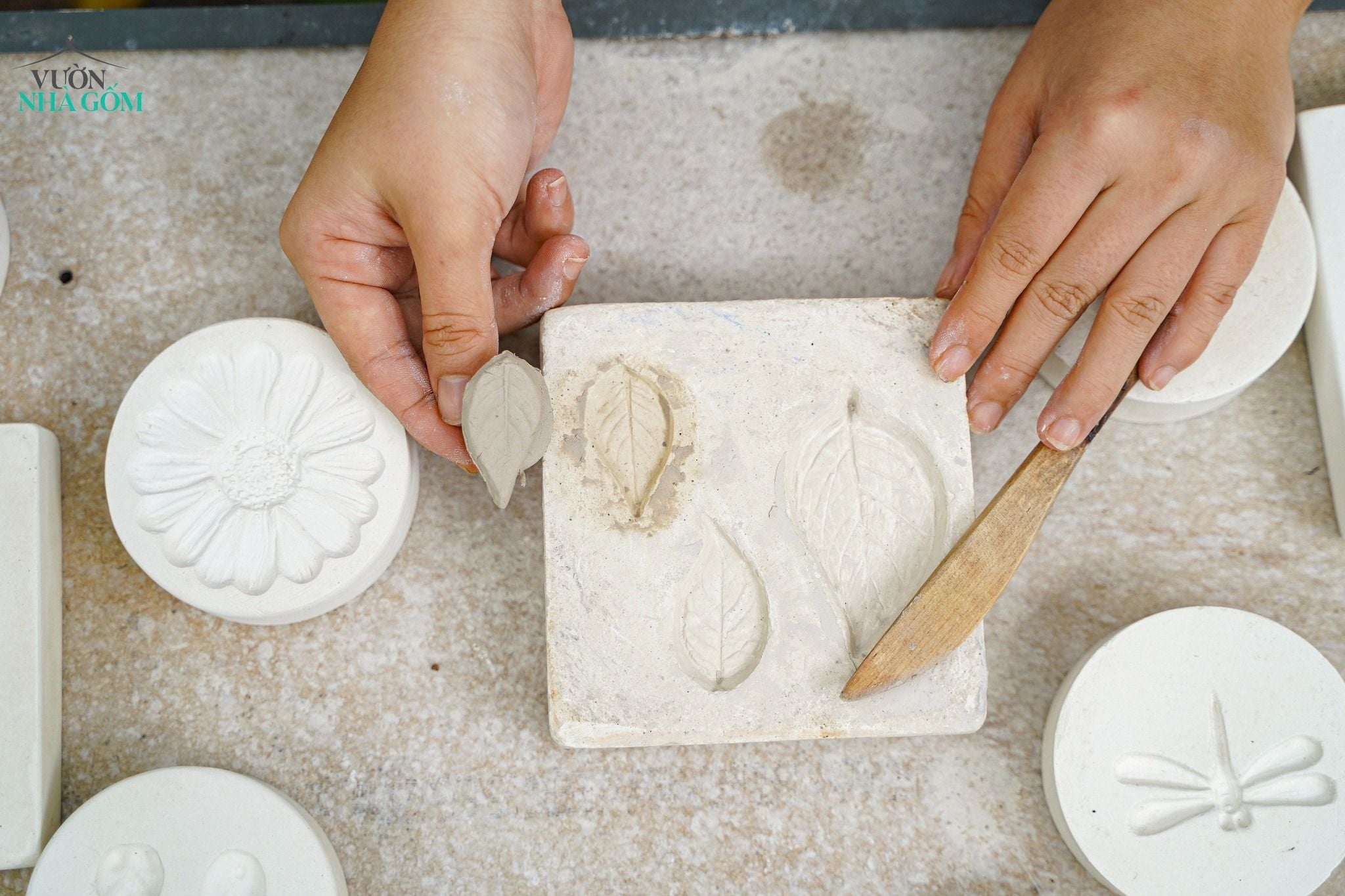  Khuôn in lá tròn nhọn 12cm (Cái) 